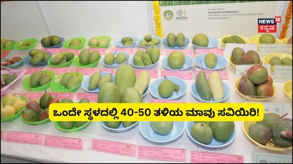 ಮಾವು ಮೇಳ (ಸಂಗ್ರಹ ಚಿತ್ರ) 