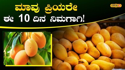 ಮಾವು ಮತ್ತು ಹಲಸಿನ ಹಣ್ಣು ಮೇಳ 