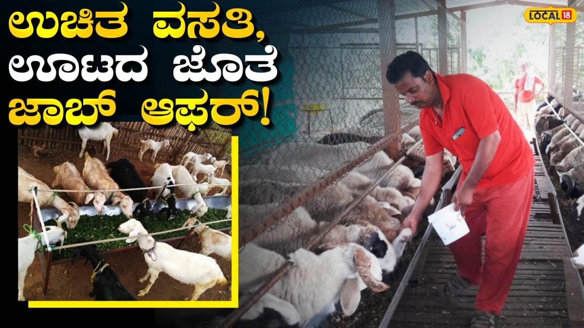 Job Training: ತಿಂಗಳಿಗೆ ಲಕ್ಷ ಲಕ್ಷ ಸಂಪಾದಿಸೋ ಸೀಕ್ರೆಟ್ ಪ್ಲಾನ್ ಇದು, ಮೇ 18 ರೊಳಗೆ ಈ ಕೆಲಸ ತಪ್ಪದೇ ಮಾಡಿ!