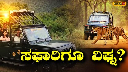 ಸಫಾರಿ