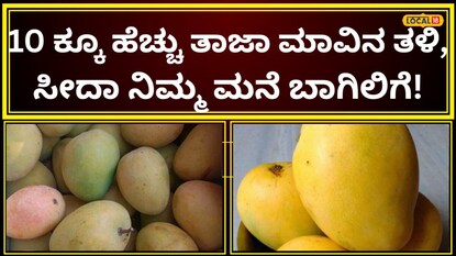 ಮಾವಿನ ಹಣ್ಣು ಮನೆ ಬಾಗಿಲಿಗೆ!