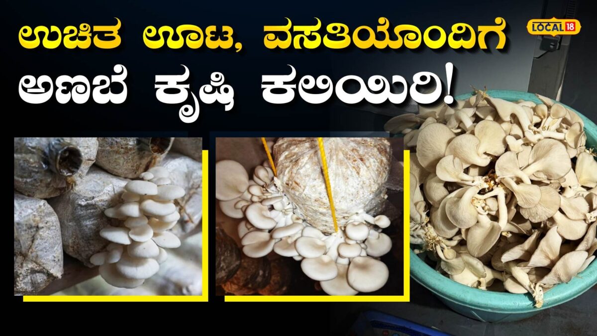 Free Training: ಸ್ವಂತ ಉದ್ಯೋಗ ಶುರು ಮಾಡ್ಬೇಕಾ? 10 ದಿನದ ಉಚಿತ ತರಬೇತಿಯಲ್ಲಿ ಪಾಲ್ಗೊಳ್ಳಿ!