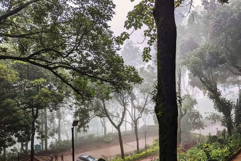 ಯಾವ ಜಿಲ್ಲೆಗಳಿಗೆ ರೆಡ್ ಅಲರ್ಟ್?- ದಕ್ಷಿಣ ಕನ್ನಡ, ಉಡುಪಿ, ಉತ್ತರ ಕನ್ನಡ, ಚಿಕ್ಕಮಗಳೂರು ಮತ್ತು ಶಿವಮೊಗ್ಗ ಜಿಲ್ಲೆಗಳಲ್ಲಿ ಮಂಗಳವಾರದಂದು ಭಾರೀ ಮಳೆಯಾಗುವ ಮುನ್ಸೂಚನೆ ಇದ್ದು, 'ರೆಡ್ ಅಲರ್ಟ್' ಘೋಷಿಸಲಾಗಿದೆ. ಜೂನ್ 10 ಮತ್ತು 11 ರಂದು ಕೂಡ ಕರಾವಳಿ ಮತ್ತು ಮಲೆನಾಡಿನ ಹಲವು ಜಿಲ್ಲೆಗಳಲ್ಲಿ ಈ ಆತಂಕ ಮುಂದುವರಿಯಲಿದೆ.