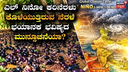 ಈ ವರ್ಷ ನೇರಳೆ ಭರ್ಜರಿ ಫಸಲು; ಇದು ಬರಗಾಲ ಮುನ್ಸೂಚನೆಯಾ? ವಿಜ್ಞಾನಿಗಳು ಹೇಳೋದೇನು?
