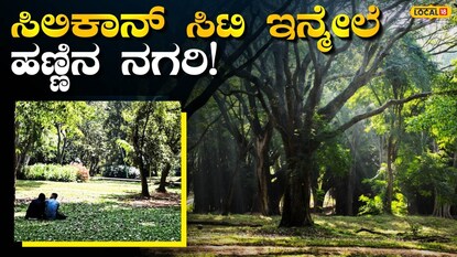 ಸಸ್ಯೋದ್ಯಾನ ಸಸ್ಯೋದ್ಯಾನ