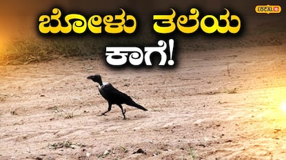 News18 News18