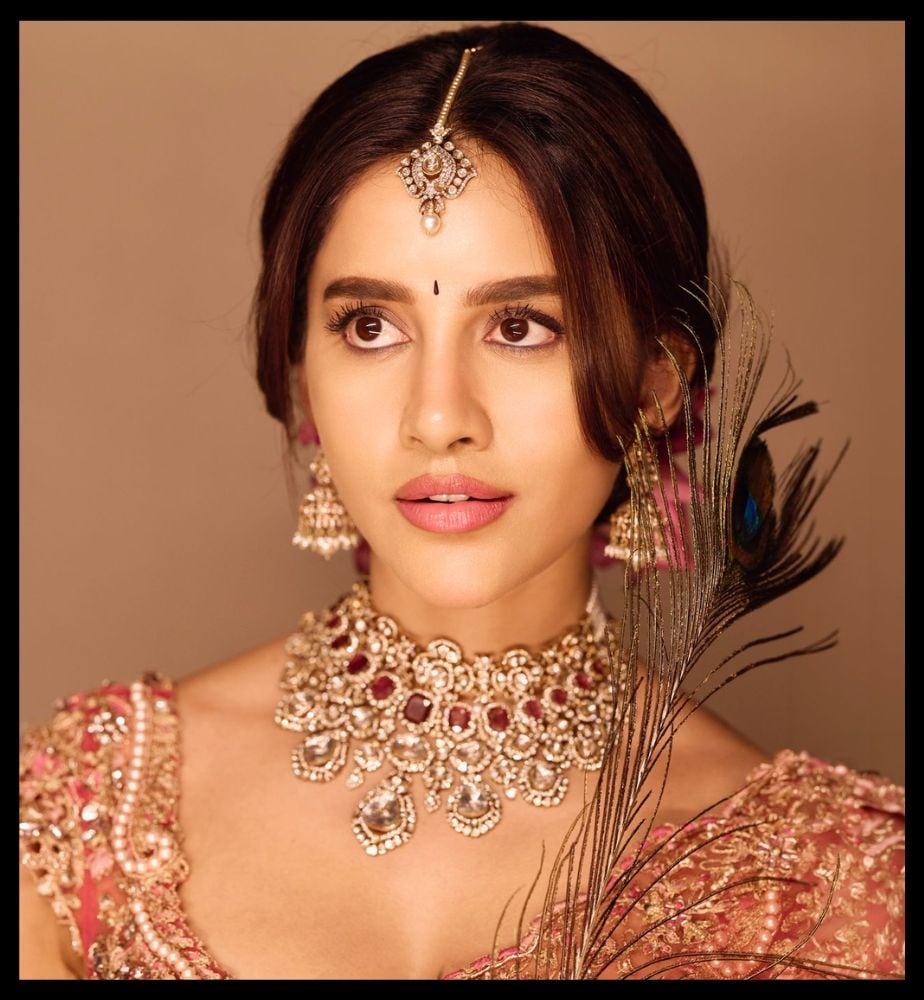 Nabha Natesh Nikhil Siddharth Swayambhu Movie Latest Updates
