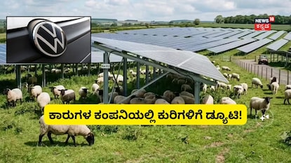 ಕಾರುಗಳ ಕಂಪನಿಯಲ್ಲಿ ಕುರಿಗಳಿಗೆ ಡ್ಯೂಟಿ! ಕಾರುಗಳ ಕಂಪನಿಯಲ್ಲಿ ಕುರಿಗಳಿಗೆ ಡ್ಯೂಟಿ!