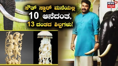 ಆನೆದಂತ