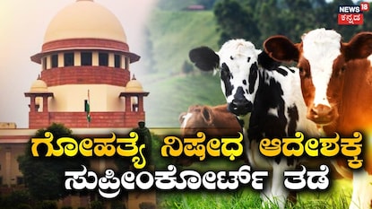 News18 News18