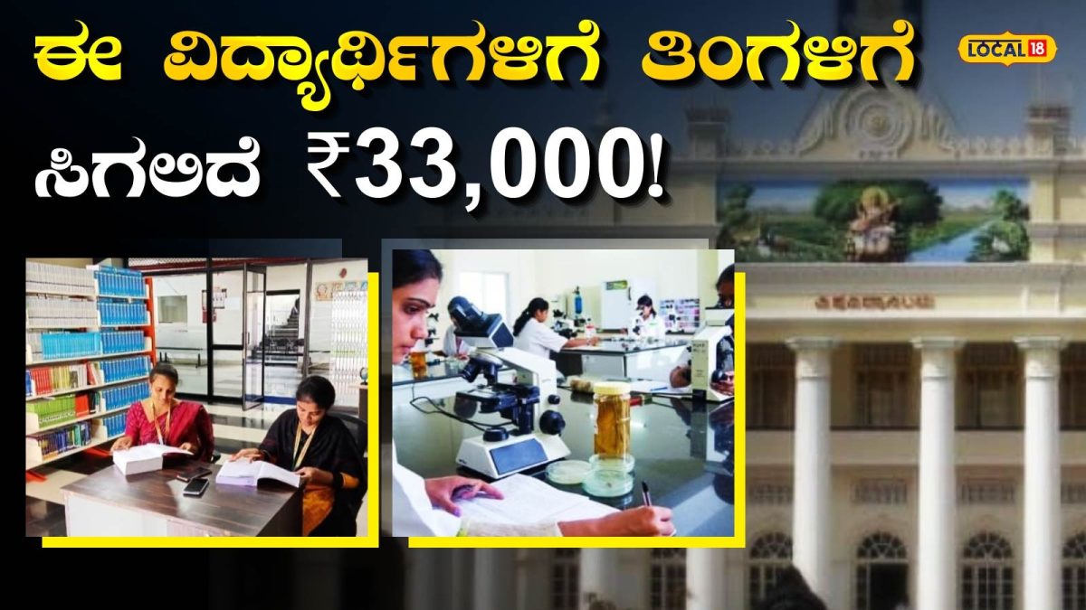 Scholarship: ವಿದ್ಯಾರ್ಥಿಗಳಿಗೆ ಬಂಪರ್ ಗಿಫ್ಟ್‌ ಕೊಟ್ಟ ಸರ್ಕಾರ; ಶಿಷ್ಯವೇತನ 4 ಪಟ್ಟು ಹೆಚ್ಚಿಸಲು ನಿರ್ಧಾರ, ಯಾರಿಗೆಲ್ಲಾ ಸಿಗುತ್ತೆ?
