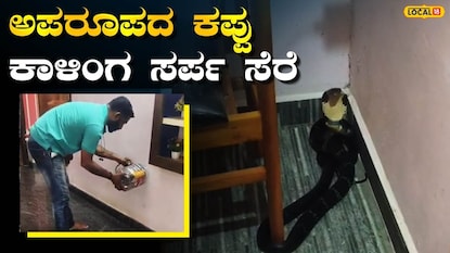 ಕಾಳಿಂಗ ಸರ್ಪ ಸೆರೆ ಕಾಳಿಂಗ ಸರ್ಪ ಸೆರೆ