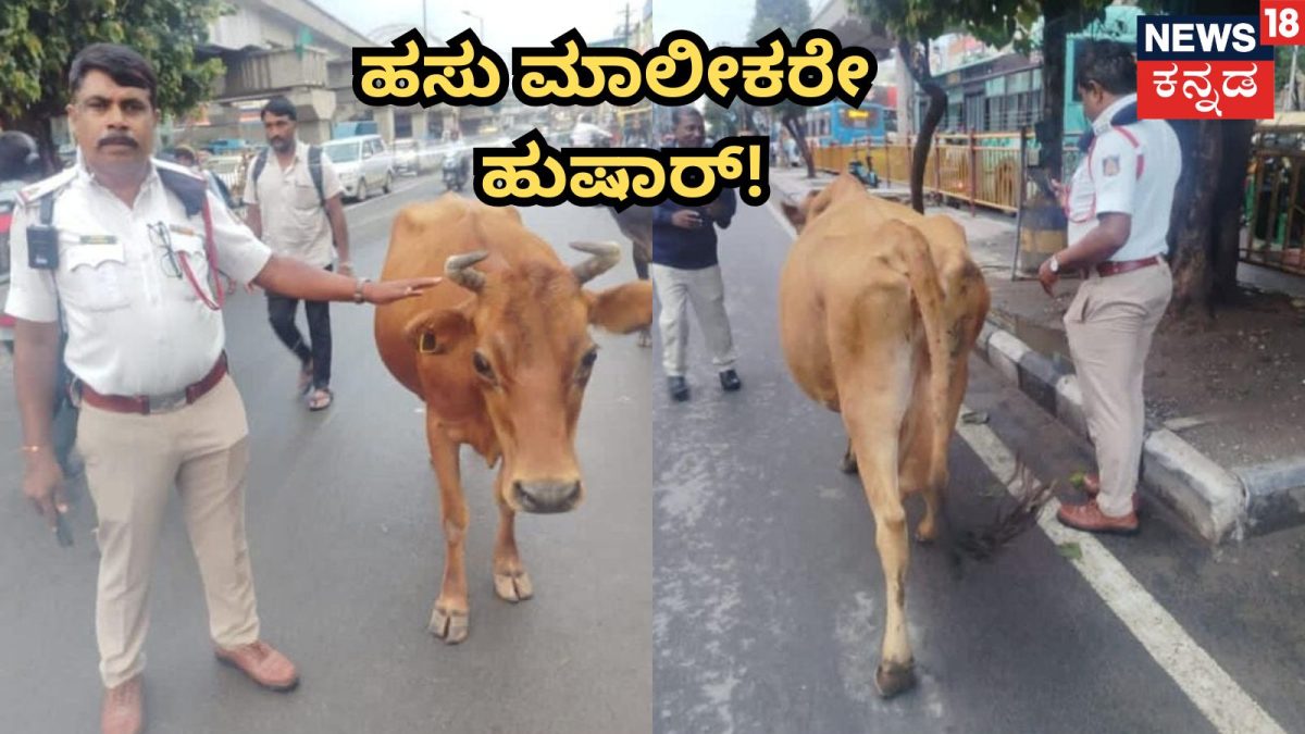 ಬೆಂಗಳೂರಿನಲ್ಲಿ ಹಸುಗಳಿಂದ ಟ್ರಾಫಿಕ್ ಜಾಮ್; ಮಾಲೀಕನ ಮೇಲೆ ಎಫ್ಐಆರ್