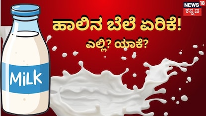 ಸಾಂಕೇತಿಕ ಚಿತ್ರ ಸಾಂಕೇತಿಕ ಚಿತ್ರ