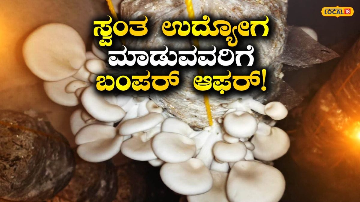 Mushroom Farming: ನಿರುದ್ಯೋಗಿಗಳಿಗೆ ಗುಡ್ ನ್ಯೂಸ್, ಅಣಬೆ ಕೃಷಿ ಕಲಿತು ತಿಂಗಳಿಗೆ ಕೈತುಂಬಾ ಸಂಪಾದನೆ ಮಾಡಿ, ಇಂದೇ ಹೆಸರು ನೋಂದಾಯಿಸಿ!