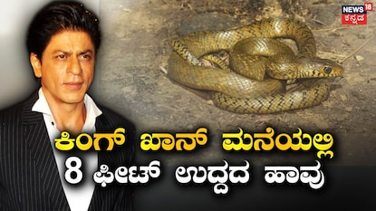ಶಾರುಖ್ ಖಾನ್ ಶಾರುಖ್ ಖಾನ್
