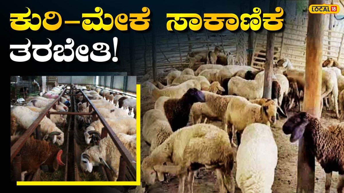 Free Training: ಚಿಕ್ಕಮಗಳೂರಿನ ನಿರುದ್ಯೋಗಿಗಳಿಗೆ ಬಂಪರ್ ಗುಡ್ ನ್ಯೂಸ್, ಉಚಿತ ತರಬೇತಿ ಜೊತೆಗೆ ಉಚಿತ ಊಟ-ವಸತಿ!