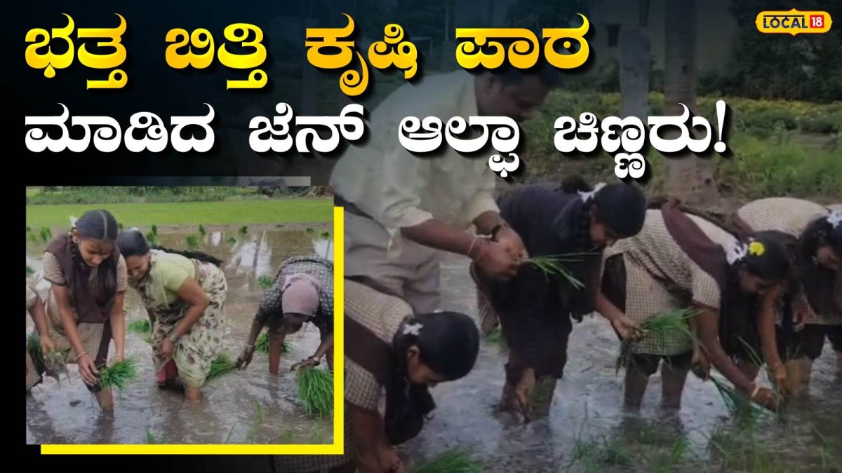 Practical Education: ಭತ್ತದ ಬಿತ್ತನೆಗೆ ಮುಂದಾದ ಕೋಟೆನಾಡಿನ ಮಕ್ಕಳು, ಉಳುಮೆಗೆ ಒಲವು; ಪಾಟಿ ಬಿಟ್ಟು ನಾಟಿ ಮಾಡಿದ ಚಿಣ್ಣರು!