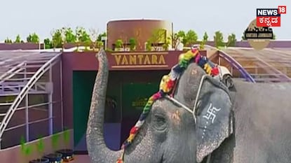 ವಂತಾರಾ ಫೌಂಡೇಶನ್ ಪ್ರಸ್ತಾವನೆ ವಂತಾರಾ ಫೌಂಡೇಶನ್ ಪ್ರಸ್ತಾವನೆ