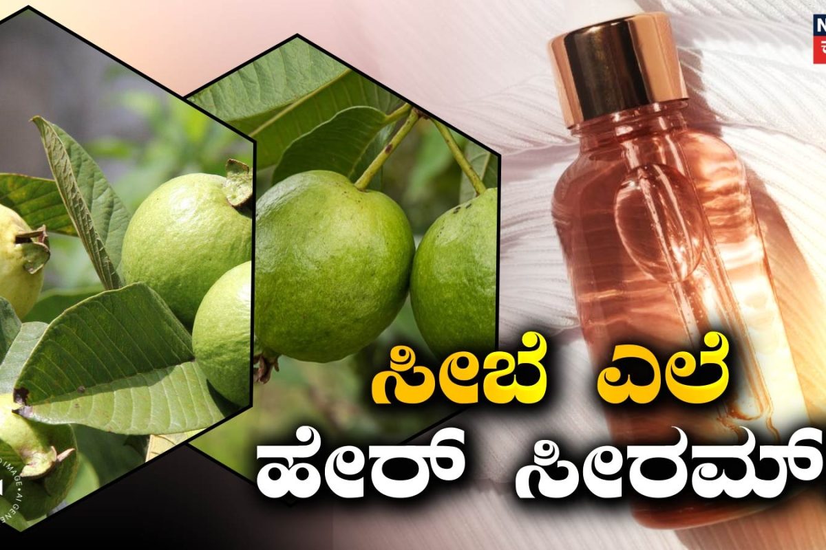 Hair Care: ಸೀಬೆ ಎಲೆ ಸೀರಮ್! ದಪ್ಪ-ಉದ್ದ ಕೂದಲಿಗೆ ನೈಸರ್ಗಿಕ ಅದ್ಭುತ ಪೋಷಣೆ!