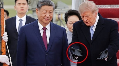 Donald Trump and Xi Jinping Donald Trump and Xi Jinping