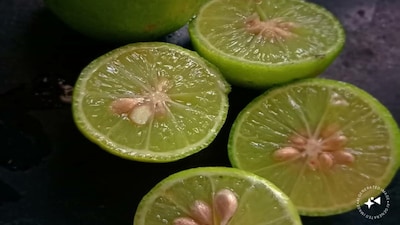 ನಿಂಬೆಹಣ್ಣು