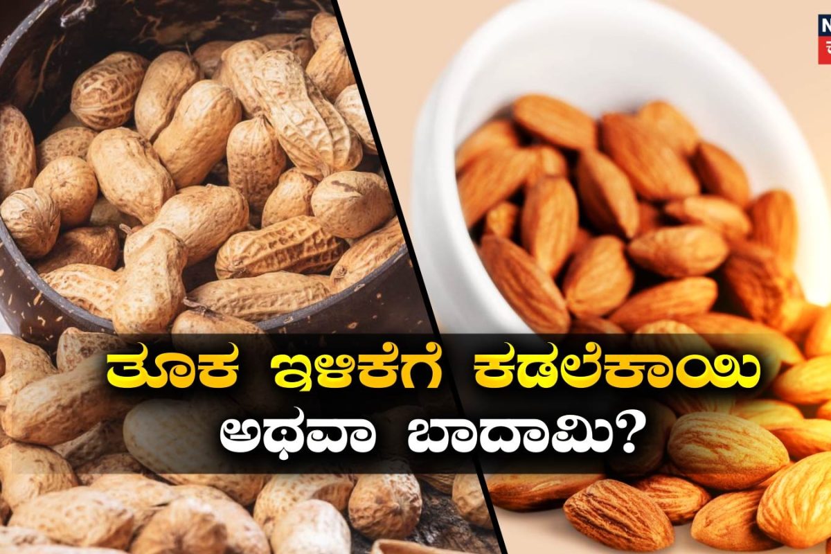 Weight Loss Tips: ಕಡಲೆಕಾಯಿನಾ? ಬಾದಾಮಿನಾ? ವೇಟ್ ಲಾಸ್ ಡಯಟ್​ಗೆ ಯಾವುದು ಬೆಸ್ಟ್? ಇಲ್ಲಿದೆ ಫುಲ್ ಡೀಟೇಲ್ಸ್