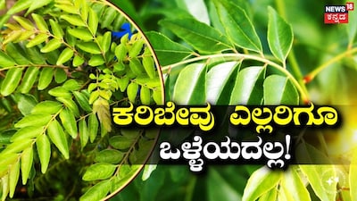 ಕರಿಬೇವು