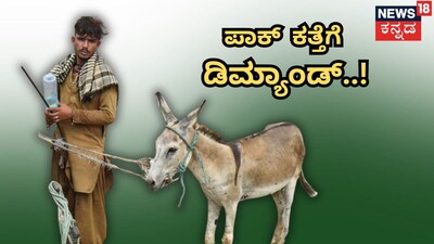 ಪಾಕಿಸ್ತಾನದ ಕತ್ತೆಗಳಿಗೆ ಬೇಡಿಕೆ (ಕೃಪೆ: ರಾಯಿಟರ್ಸ್)