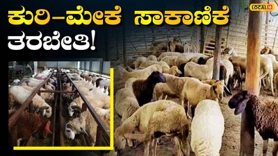 ಉಚಿತ ತರಬೇತಿ