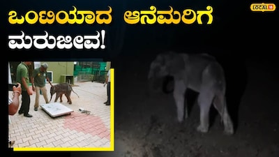 ಆನೆ ಮರಿಯ ರಕ್ಷಣೆ