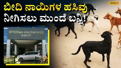  ಉಚಿತ ಆಹಾರ