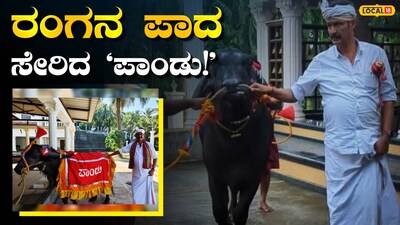 ಪಾಂಡು ಕೋಣ