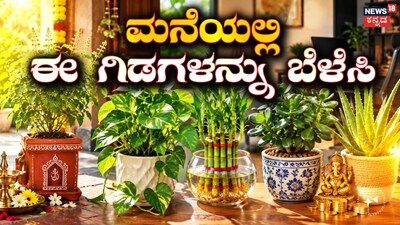 AI ಫೋಟೋ
