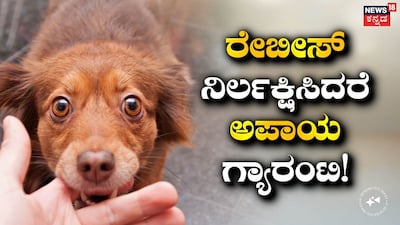 ರೇಬೀಸ್