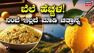 ಪ್ರಾತಿನಿಧಿಕ ಚಿತ್ರ