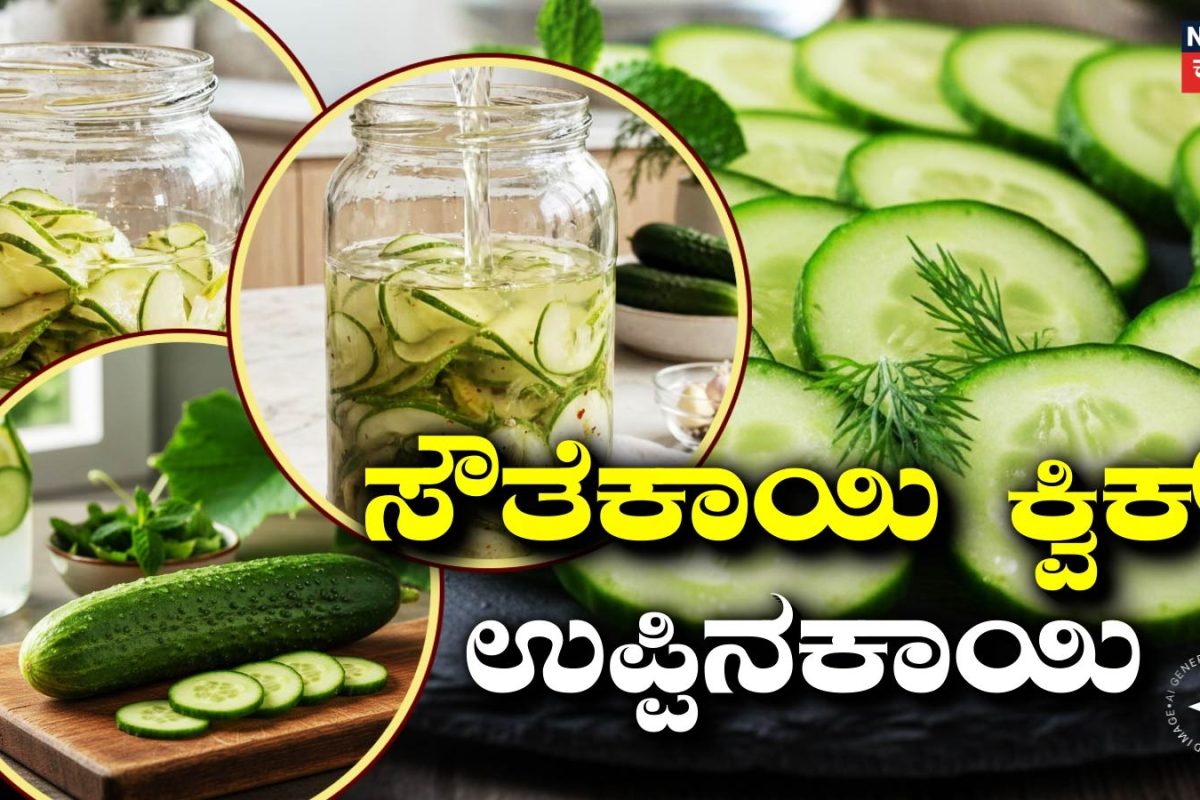 Cucumber Pickle: ಈ 4 ವಸ್ತು ಇದ್ರೆ ಸಿಂಪಲ್ ಆಗಿರೋ ಟೇಸ್ಟಿ ಸೌತೆಕಾಯಿ ಉಪ್ಪಿನಕಾಯಿ ರೆಡಿ, ಇಲ್ಲಿದೆ ರೆಸಿಪಿ