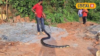 ಹಾವು ರಕ್ಷಣೆ