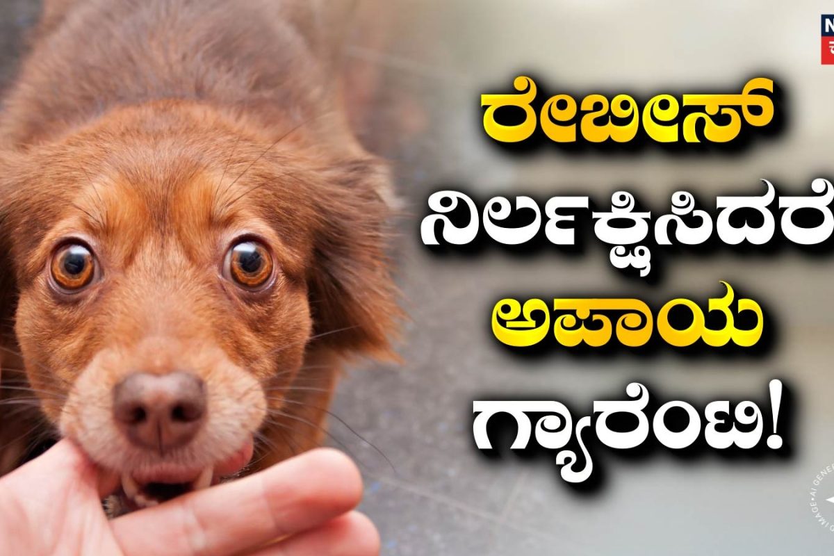 Rabies: ನಾಯಿ ಮಾತ್ರವಲ್ಲ, ಈ 7 ಪ್ರಾಣಿಗಳು ಕಚ್ಚಿದ್ರೂ ಬರುತ್ತೆ ರೇಬೀಸ್! ನಿರ್ಲಕ್ಷಿಸಿದರೆ ಜೀವವೇ ಕಳ್ಕೋತೀರಾ
