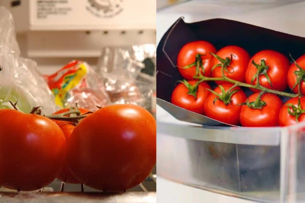 Tomatoes in Fridge: ಟೊಮೆಟೊಗಳನ್ನು ಹೊರಗೆ ಇಡಬೇಕಾ, ಫ್ರಿಡ್ಜ್‌ನಲ್ಲಿ ಇಡಬೇಕಾ? ಯಾವುದು ಒಳ್ಳೆಯದು? ಇಲ್ಲಿದೆ ಫುಲ್​ ಡೀಟೇಲ್ಸ್​