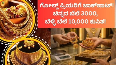 Gold Price Drops by 3000 and Silver by 10000 Will Rates Fall Further