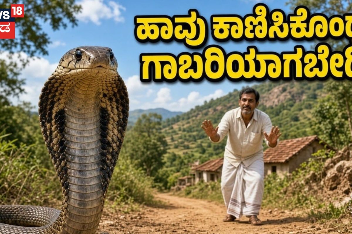 Snakes: ನಿಮ್ಮ ಕಣ್ಣೆದುರೇ ಹಾವು ಕಾಣಿಸಿಕೊಂಡ್ರೆ ಏನು ಮಾಡಬೇಕು? ಈ ತಪ್ಪುಗಳನ್ನು ಮಾತ್ರ ಮಾಡಬೇಡಿ!