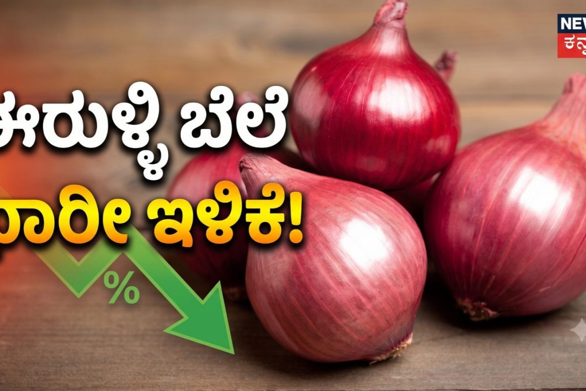 Onion Price: ಹಬ್ಬಕ್ಕೂ ಮುನ್ನ ಜನಸಾಮಾನ್ಯರಿಗೆ ಬಿಗ್​ ರಿಲೀಫ್​, ಈರುಳ್ಳಿ ಬೆಲೆ ಭಾರೀ ಇಳಿಕೆ! ಕೇಂದ್ರದ ಮಹತ್ವದ ನಿರ್ಧಾರ