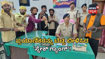 ಸ್ನೇಕ್ ಗ್ಯಾಂಗ್