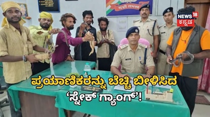 ಸ್ನೇಕ್ ಗ್ಯಾಂಗ್ ಸ್ನೇಕ್ ಗ್ಯಾಂಗ್