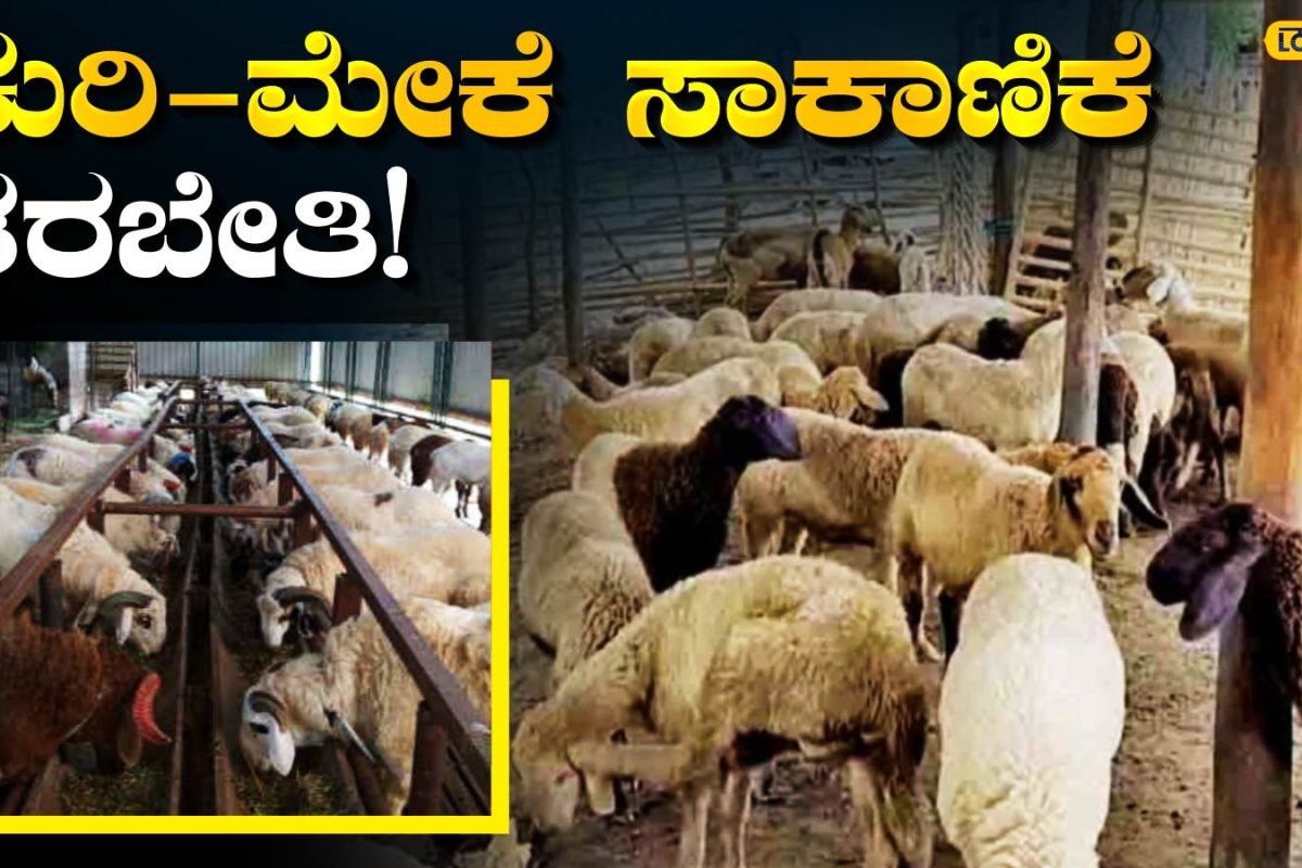 Special Training: ಚಿತ್ರದುರ್ಗದ ರೈತರಿಗೆ ಸಿಹಿ ಸುದ್ದಿ, ಉಚಿತವಾಗಿ ಕಲಿಯಿರಿ ಲಕ್ಷ ಸಂಪಾದಿಸುವ ಸೀಕ್ರೆಟ್ಸ್!