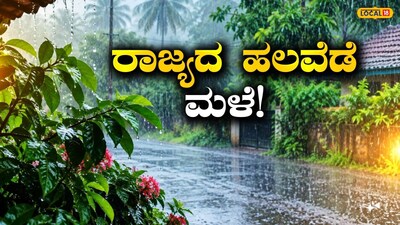 Karnataka Rain Alert: Showers to Continue Till October 11 in Coastal, Malnad, South Interior Regions!
