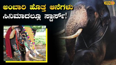 ಕನ್ನಡ ಚಲನಚಿತ್ರಗಳು