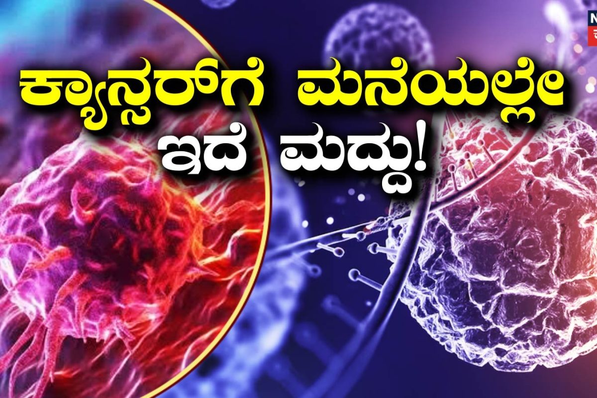 Health Tips: ಕ್ಯಾನ್ಸರ್ ಬರದಂತೆ ತಡೆಗಟ್ಟಲು ನಿಮ್ಮ ಆಹಾರದಲ್ಲಿ ಇವುಗಳನ್ನು ಸೇರಿಸಿ! ವೈದ್ಯರು ಏನ್ ಹೇಳ್ತಾರೆ ಗೊತ್ತಾ?