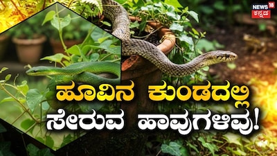 Flower Pot Snakes: 5 Types Of Snakes Found In Garden Pots